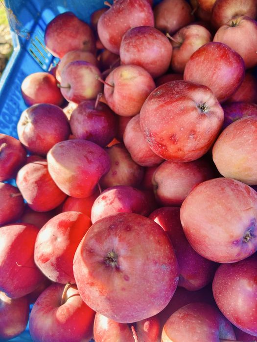 Vand mere consum cantitati mari