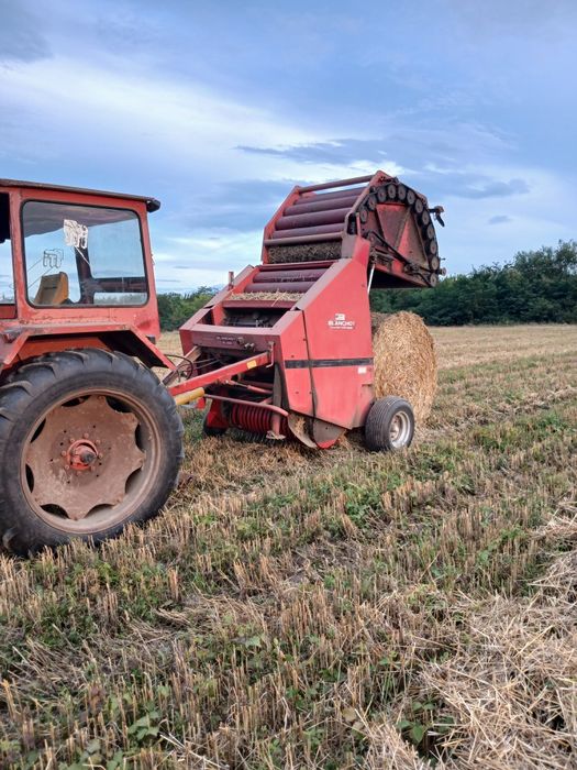 Balotiera rotunda RP15