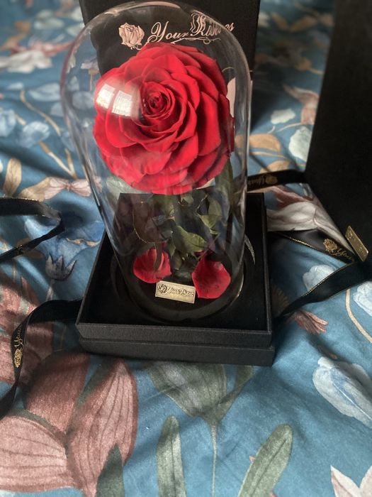 Trandafir criogenat in cupola