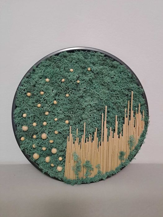 Tablouri cu licheni naturali stabilizati