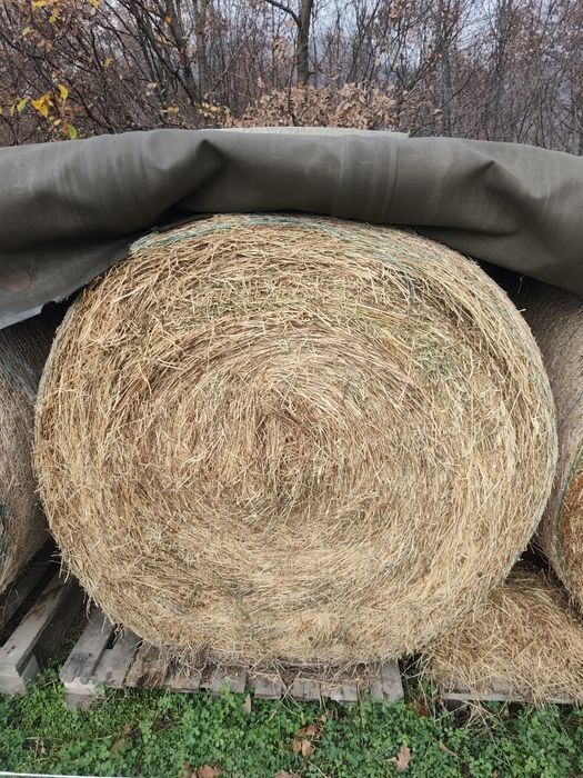Продавам рулонни бали смес от сено и люцерна!