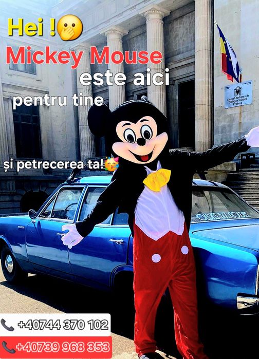 Animator pentru copii /Petreceri private