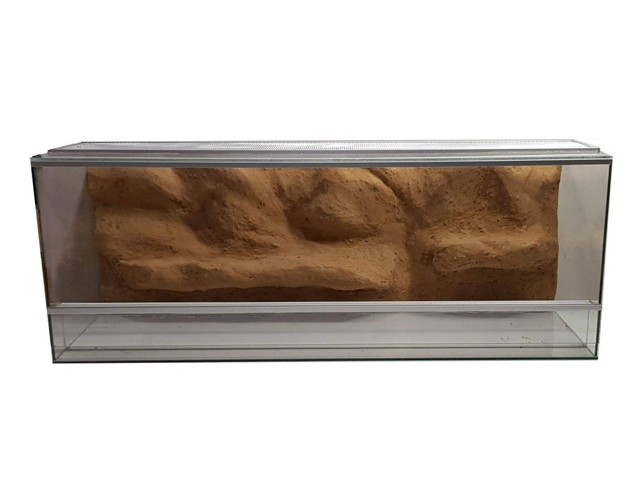 Terariu, paludariu, vivariu la comanda pentru reptile, plante