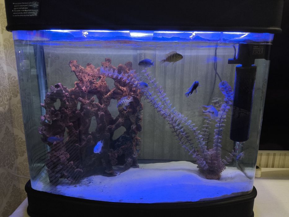 Аквариум красивый, объем 190 л