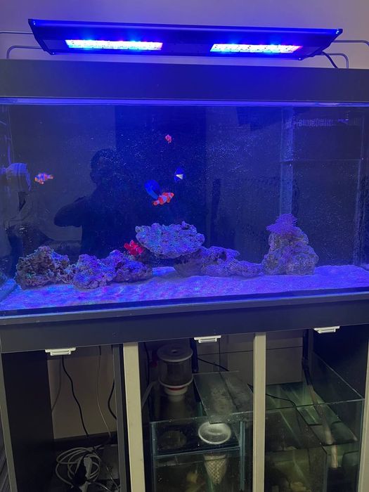 Продам морской аквариум 300л