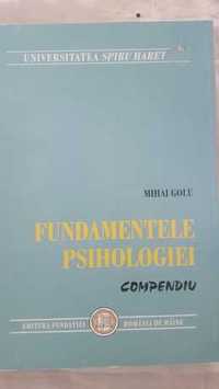 M.Golu Fundamentele Psihologiei Compendiu - 40lei