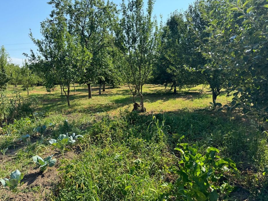 Vand Casa,cu toate utilitatile si dependintele necesare