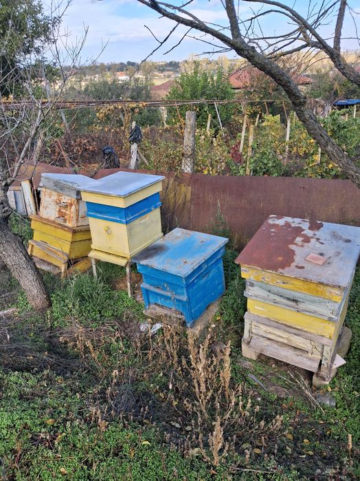 Оборудване за пчели