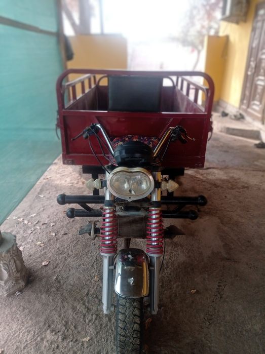 Муравей нови сторт