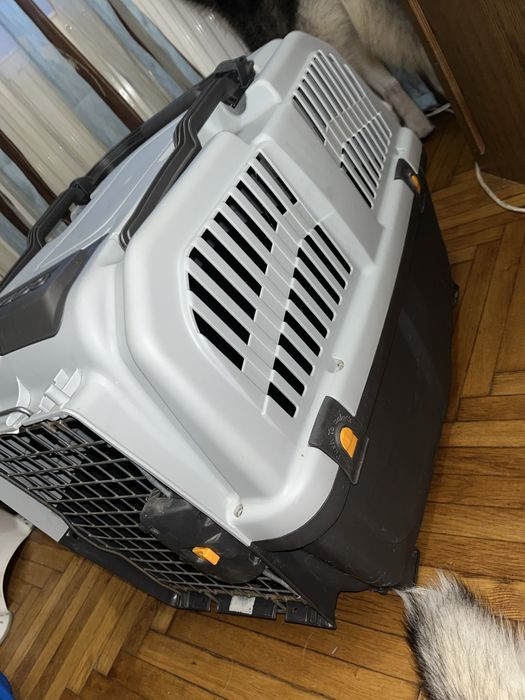 Vand cusca  transport animale