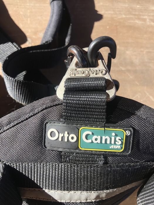 Ham pt. catei cu displazie de sold sau artrita