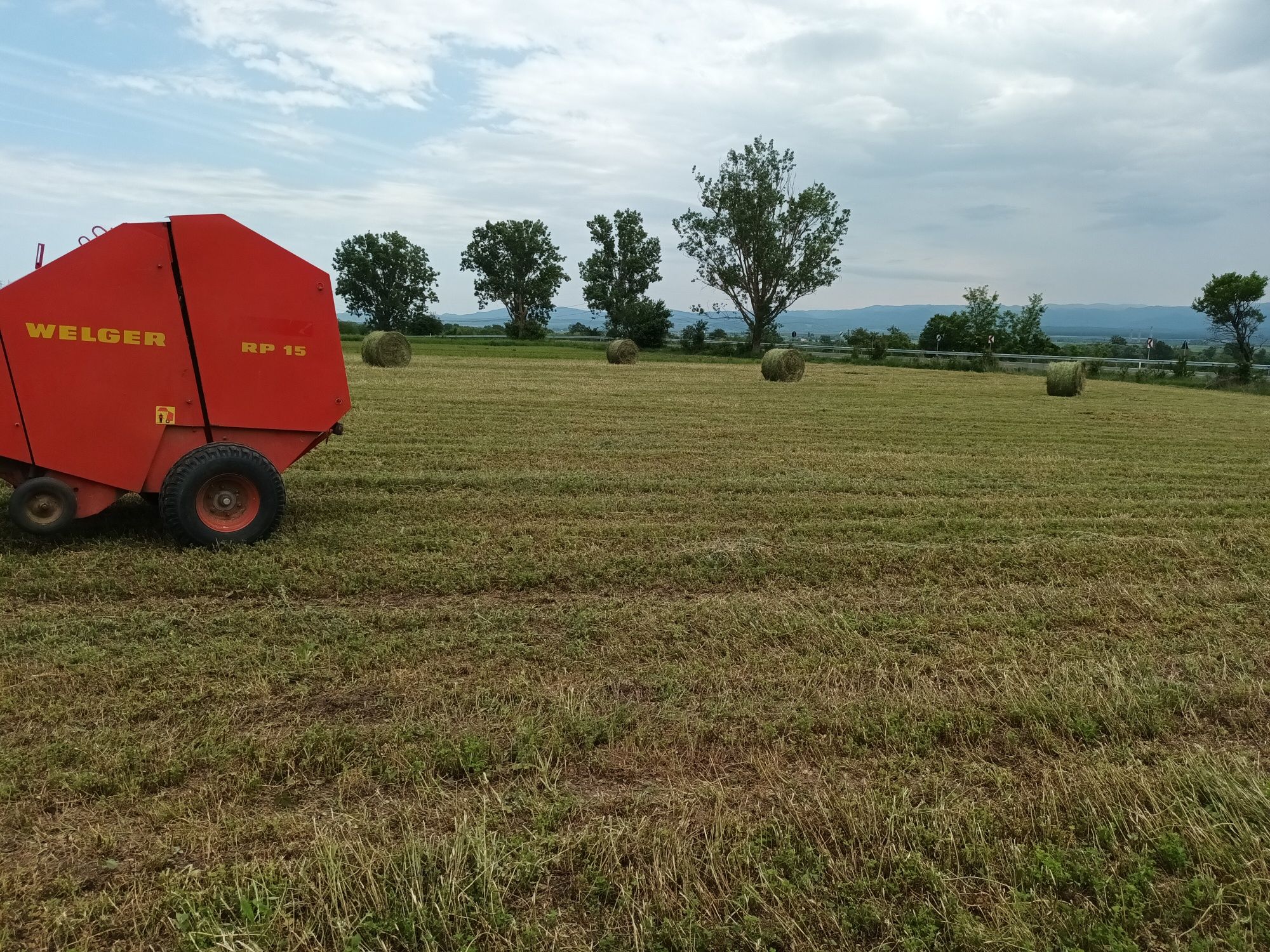 Baloți lucernă 150/120