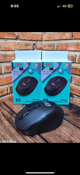 Мышка mouse тінтуір