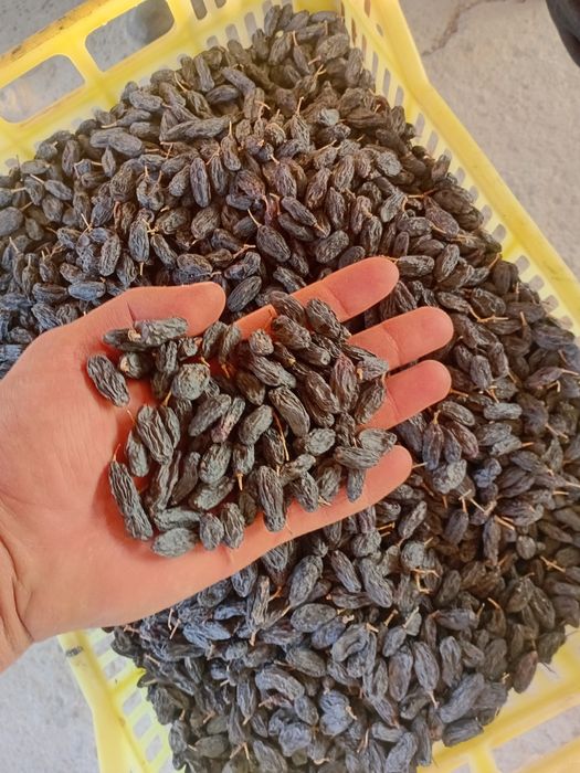 Изюм оптом! Мытый, отсортированный.Экспортно качество!