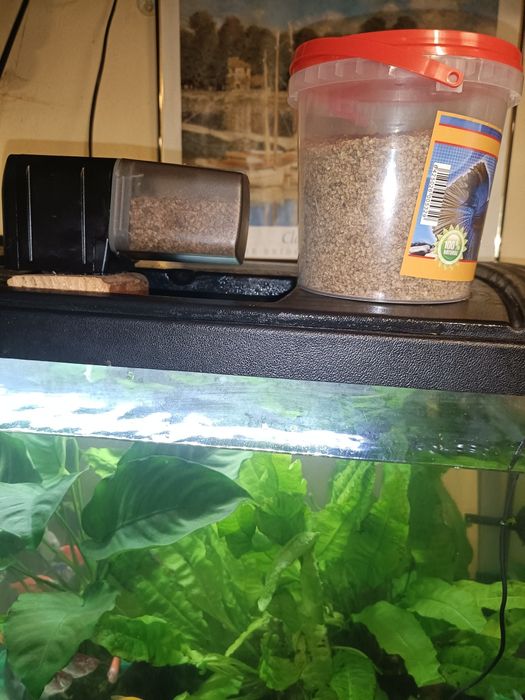 Acvariu 80l cu pești și accesorii