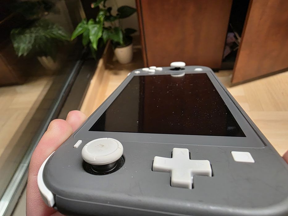 Nintendo Switch Lite, card micro SD inclus