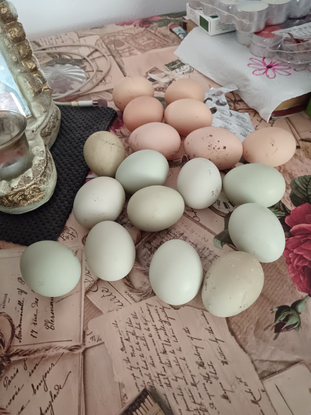 Oua Bio de găină albe și verzi