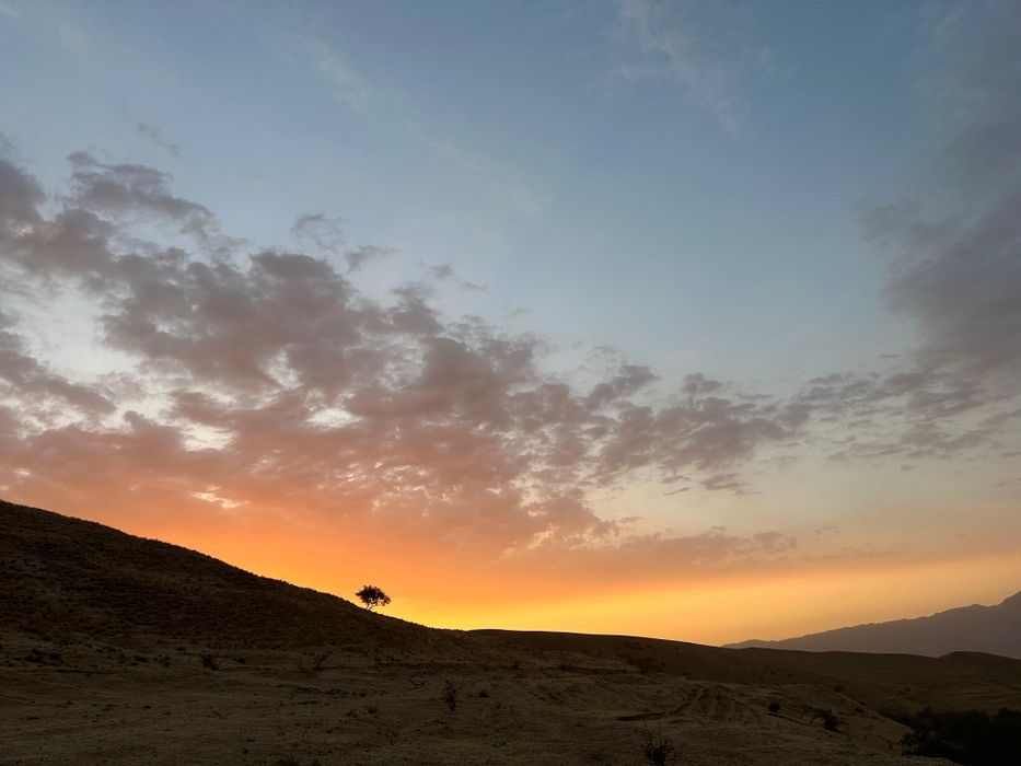 Археология. Археологические работы. Археологик тадқиқот