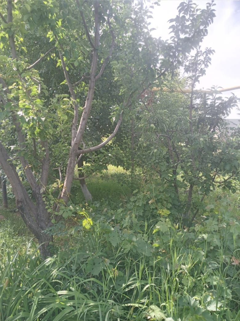 Продам дом в селе