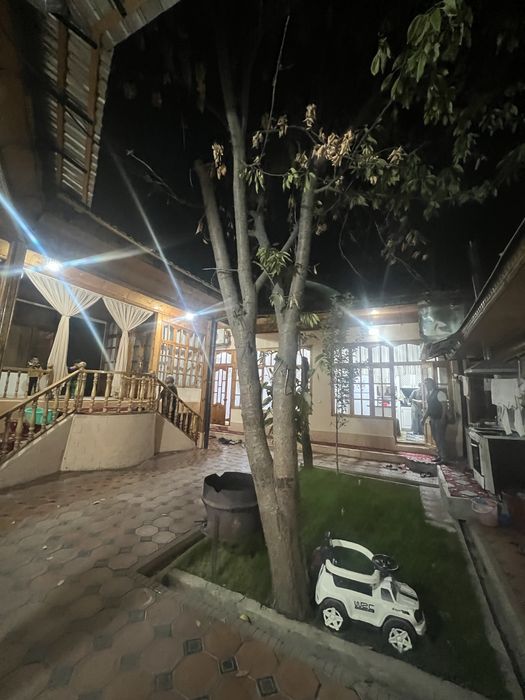 Tekinga tayyor oʻtin