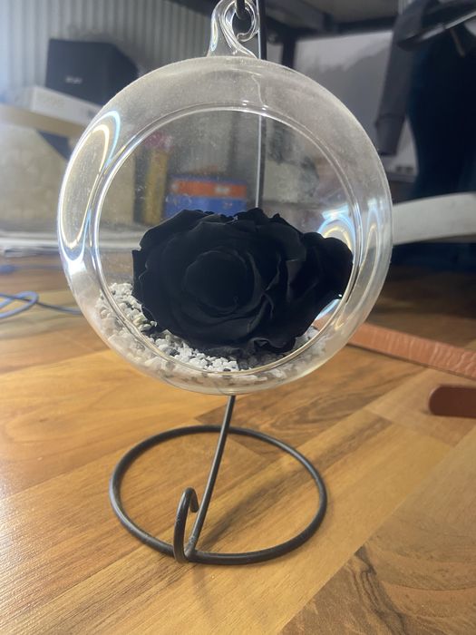 Decoratiune cu trandafir negru REAL stabilizat