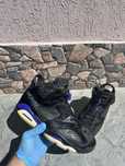 Jordan 6 Special Status