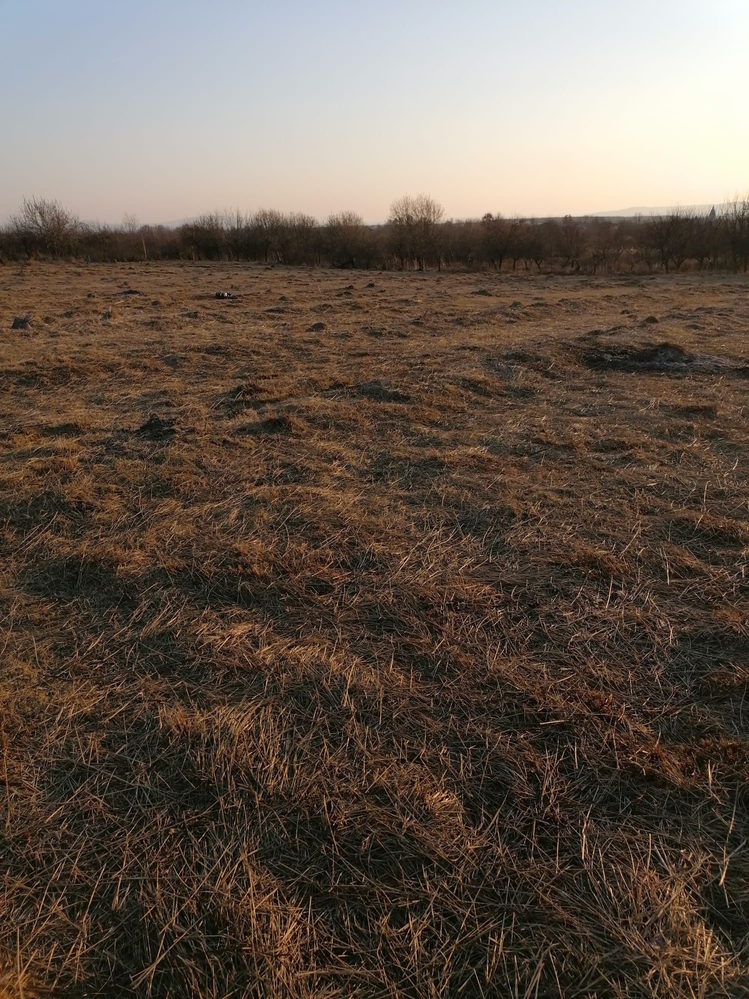 Vând teren intravilan Tautii Magheraus în zona zona foarte frumoasa