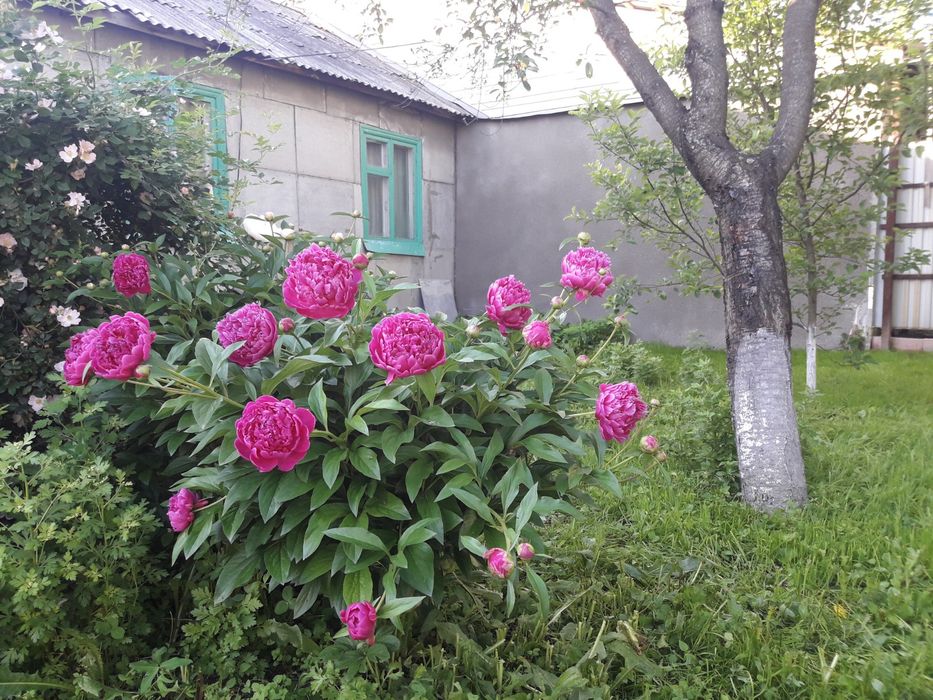 Продам частный дом