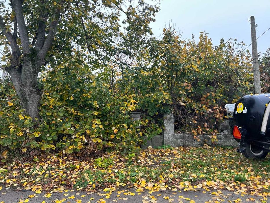 Почистване на изоставени и запустели имоти