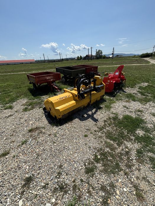 Tocatoare Orsi Dinamic 2000 an 2024
