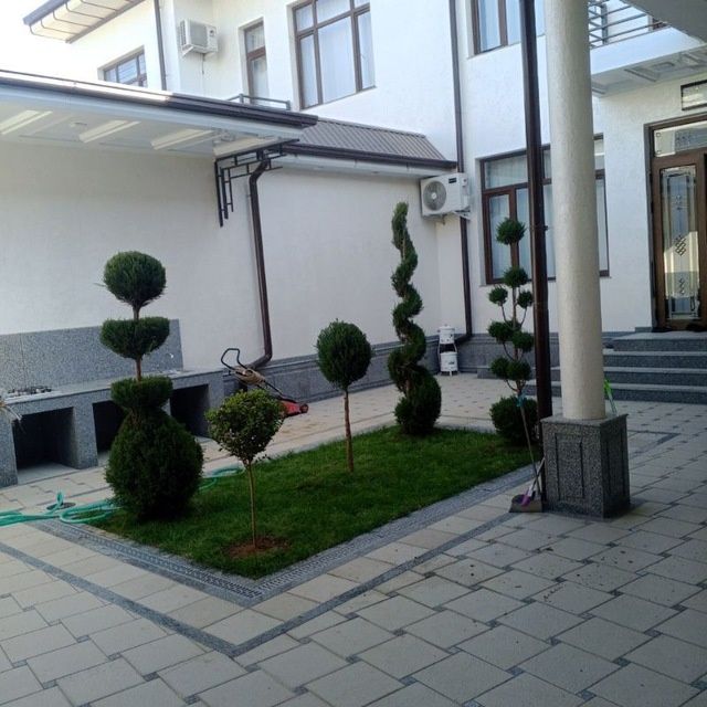 Savdonik tok kesish daraxt kesish