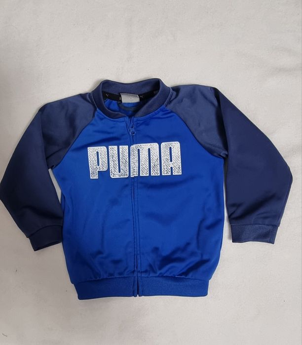 Trening Puma bebeluși