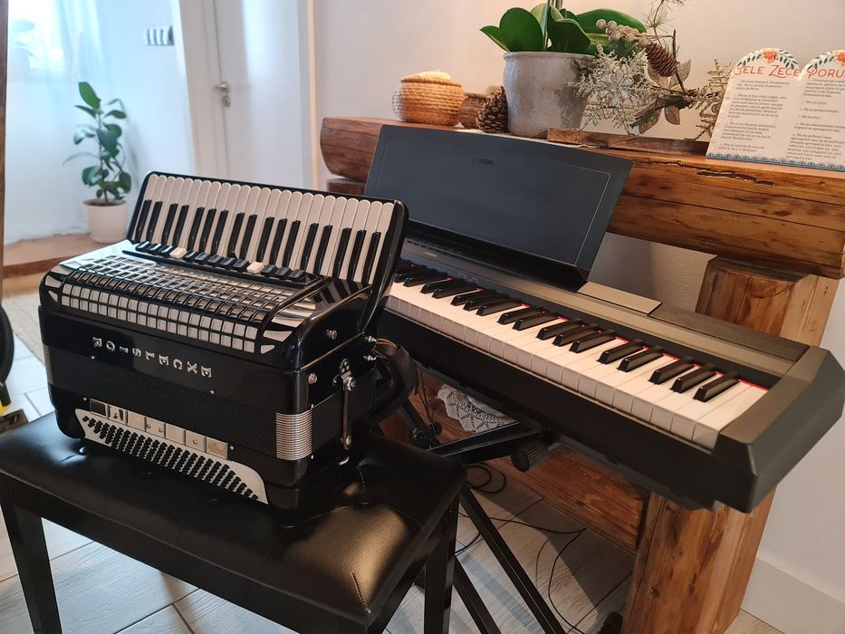 Acordeon Excelsior cassotto Mod. 960