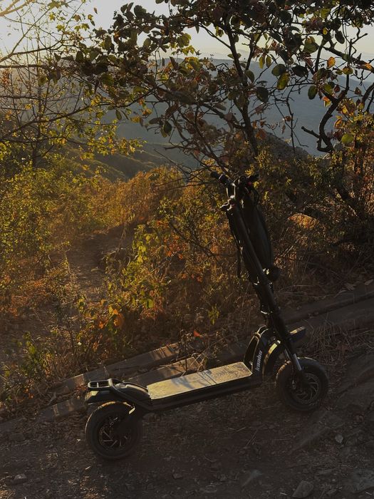 Kaabo Wolf Warrior 11 plus