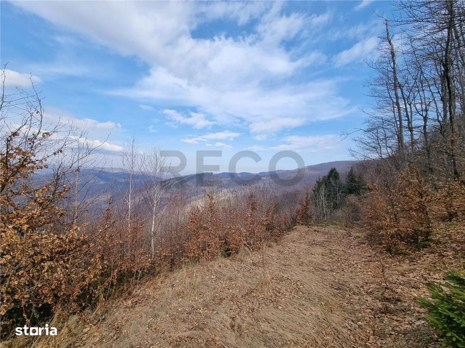 RECO Teren forestier, in EXCLUSIVITATE, sat Munteni