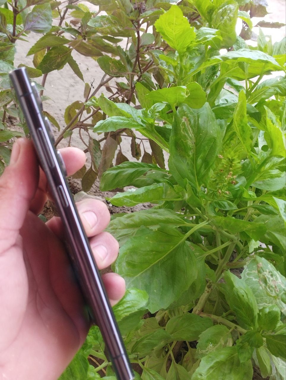 Samsung S 23 Ultra 12/512