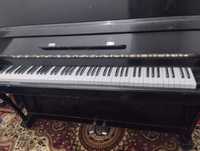 Ростов Дон пианино 300