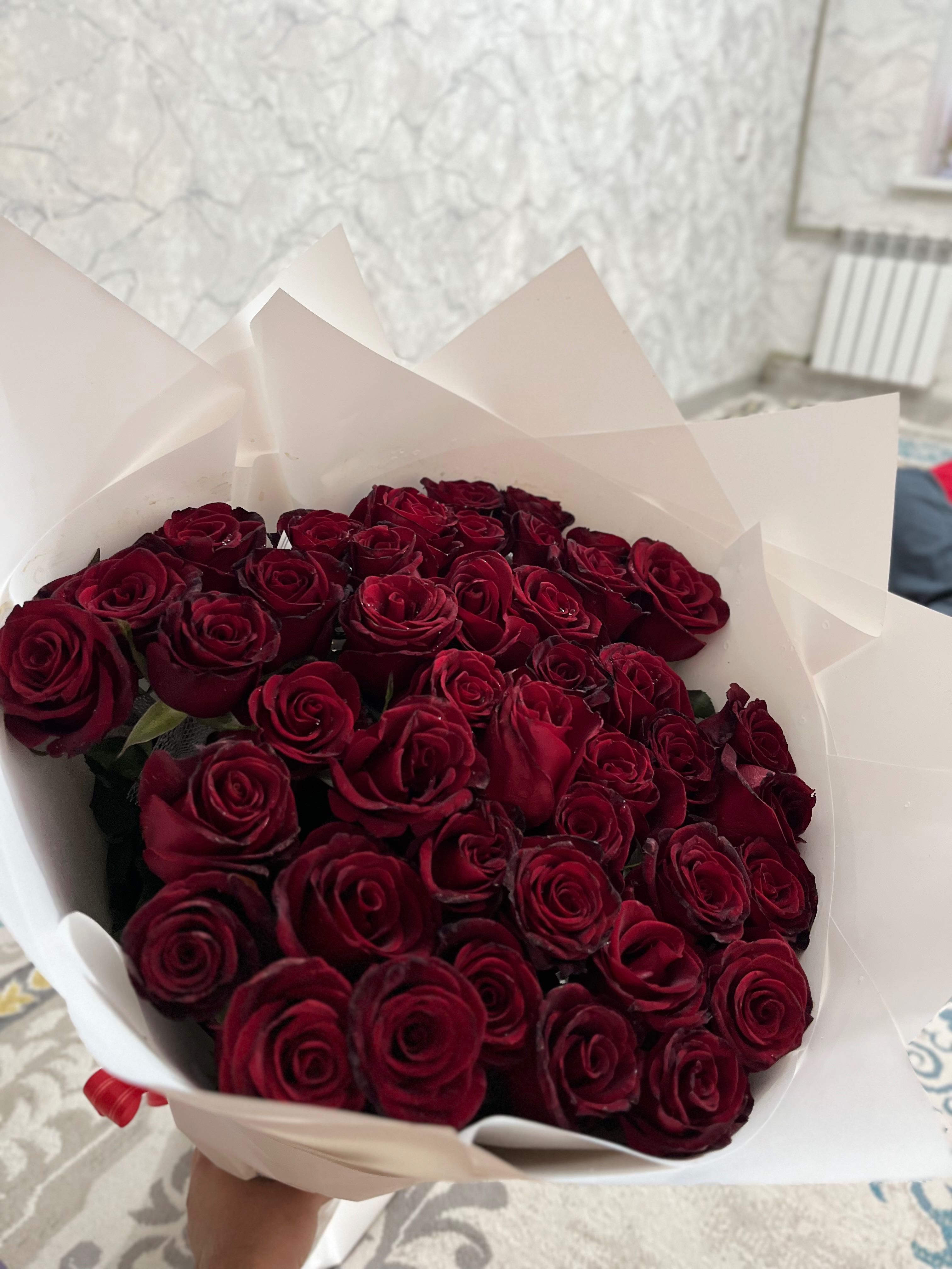 Роза гулго крч т