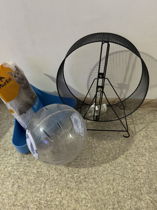 Вещи для грызуна дегу , хомяка