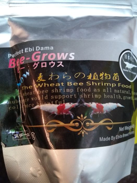 creveti acvariu diverse specii