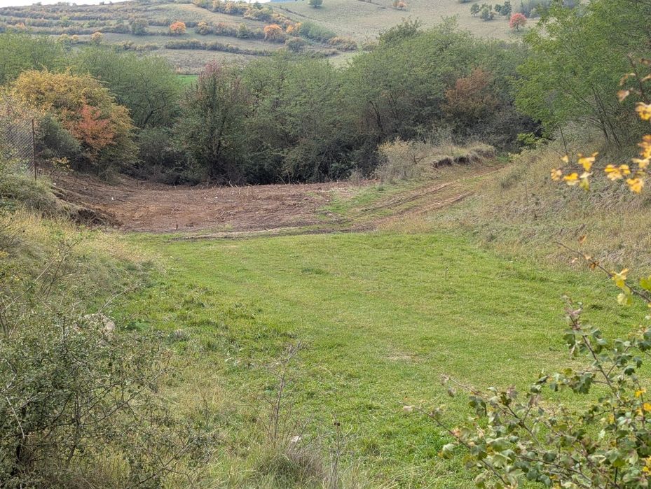 Teren extravilan Crișeni