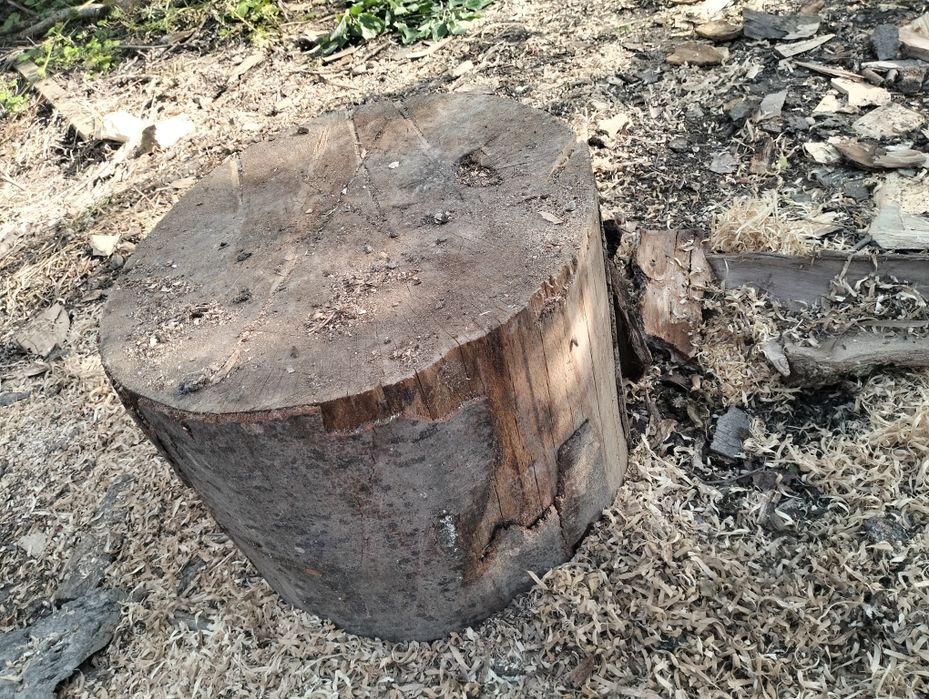 Lemne de foc (fag)crăpate și uscate 9mc