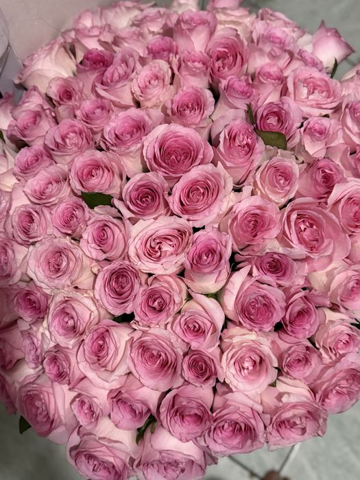 Өте әдемі роза, 101 роза