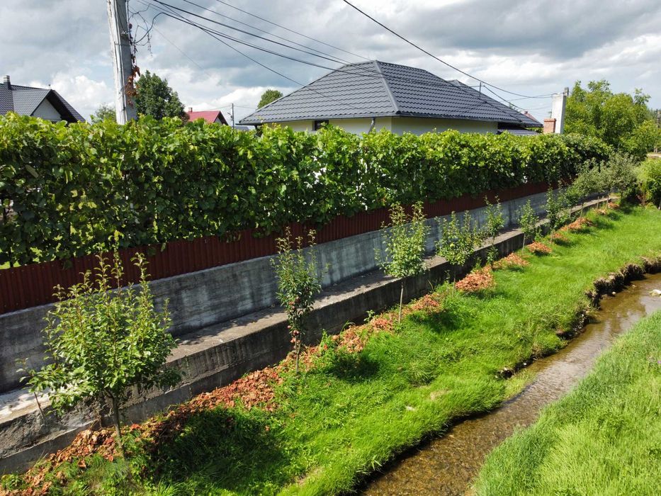 Casa noua stil romanesc - Vicovu de Jos centru - Detalii in anunt