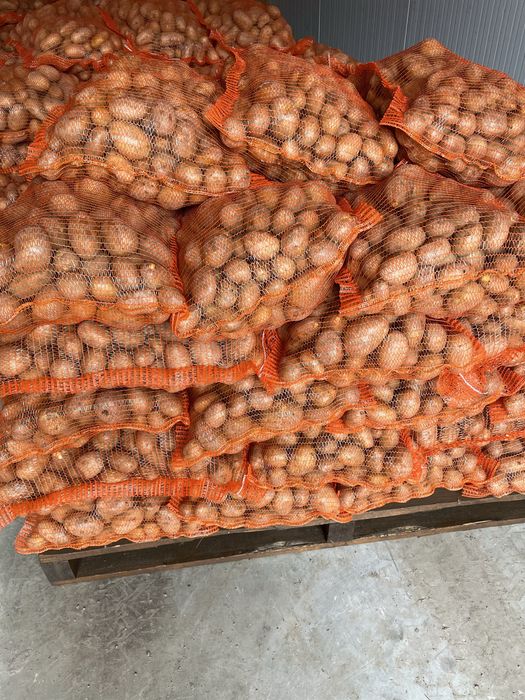 Cartofi consum proaspat