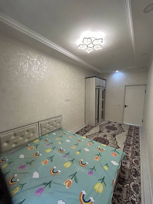 Аренда квартира болла студент