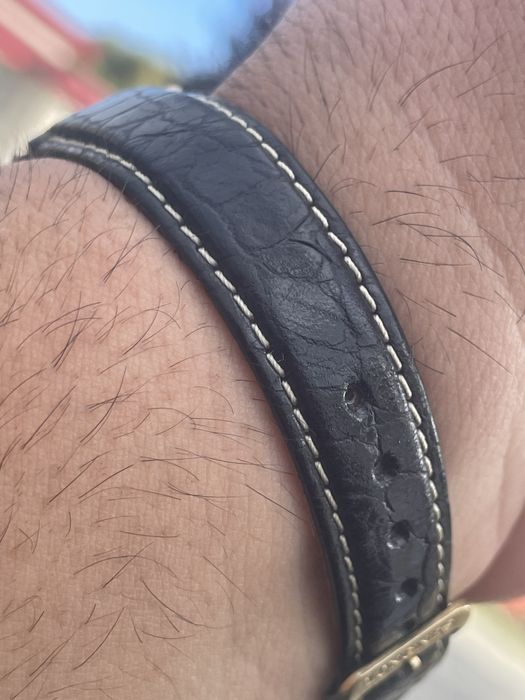 Longines un frumos exemplar