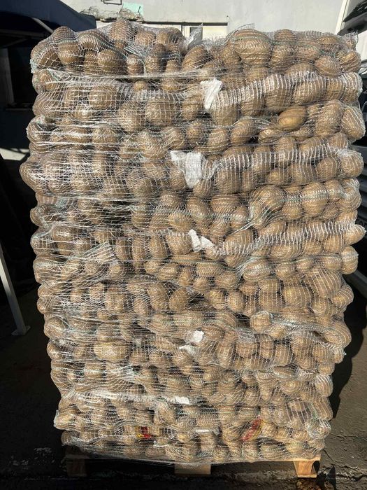 Cartofi +55 10kg Super calitate! Preturi negociabile