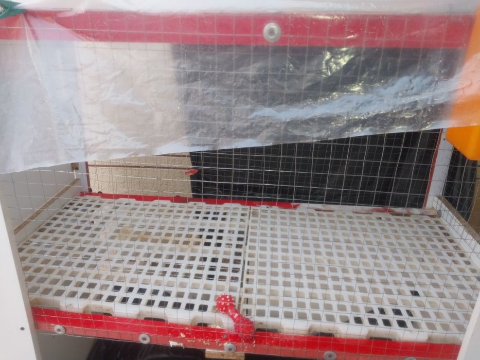 Крольчатник для кролика