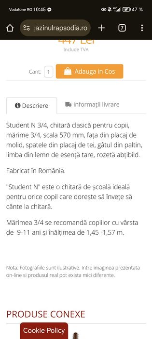 Chitara hora Reghin 3/4 student